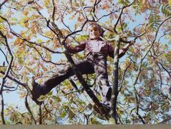 Clic pour agrandir l'image (1024x768 pixels; 187 KB)