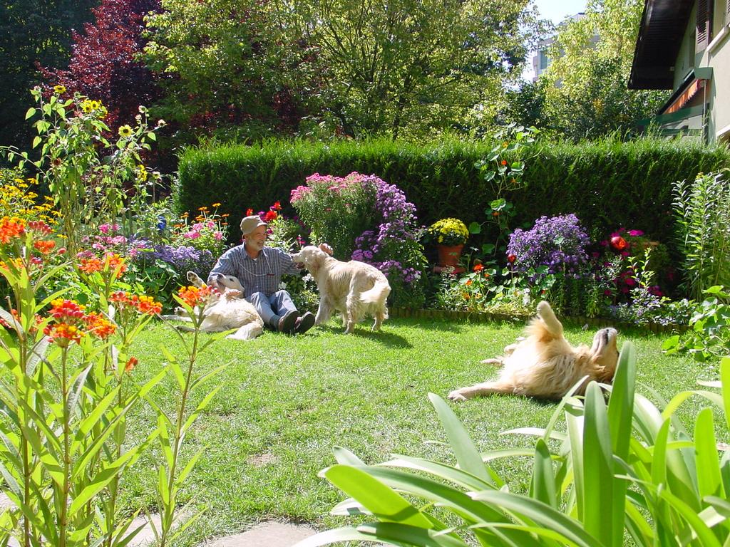 clic ici pour suivante