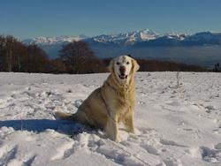 Clic pour agrandir l'image (1023x768 pixels; 99 KB)