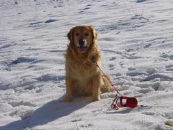 Clic pour agrandir l'image (1024x768 pixels; 154 KB)