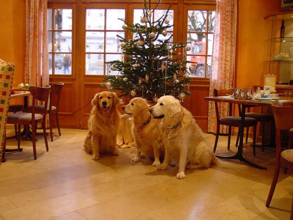 clic ici pour suivante