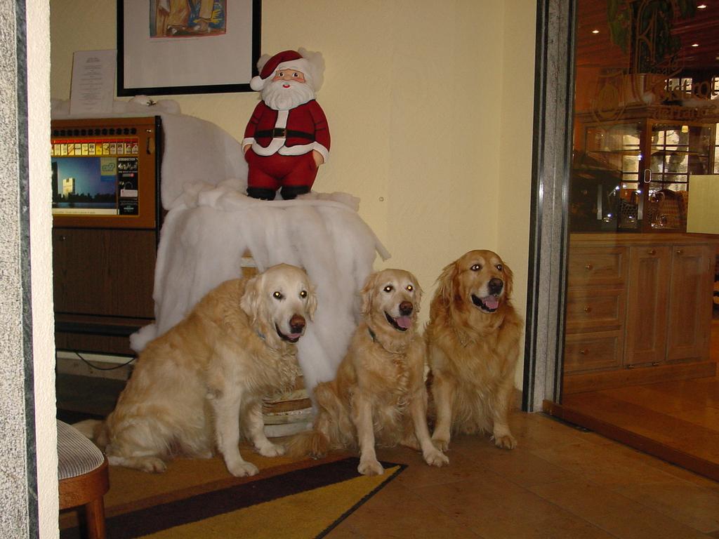 clic ici pour suivante