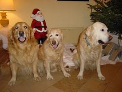 Clic pour agrandir l'image (1024x768 pixels; 92 KB)