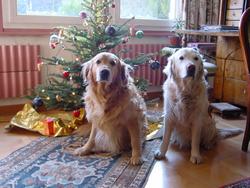 Clic pour agrandir l'image (1024x768 pixels; 132 KB)