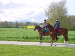 Clic pour agrandir l'image (1024x768 pixels; 148 KB)