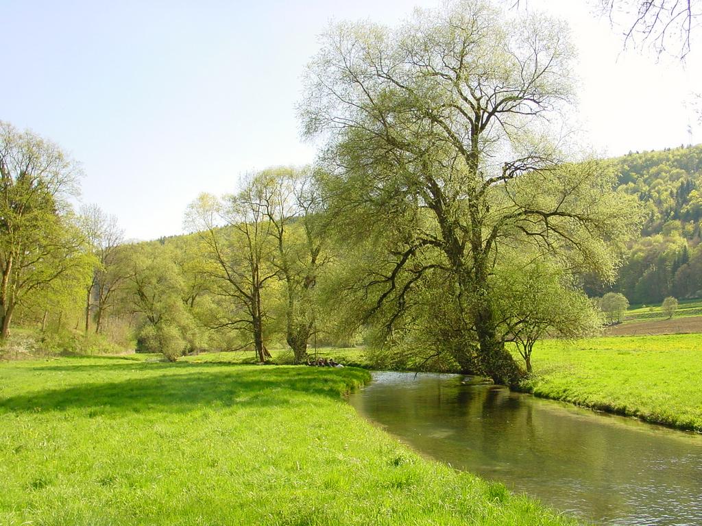 {Clic pour voir plus grand}