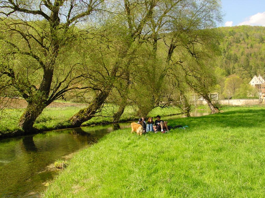 {Clic pour voir plus grand}