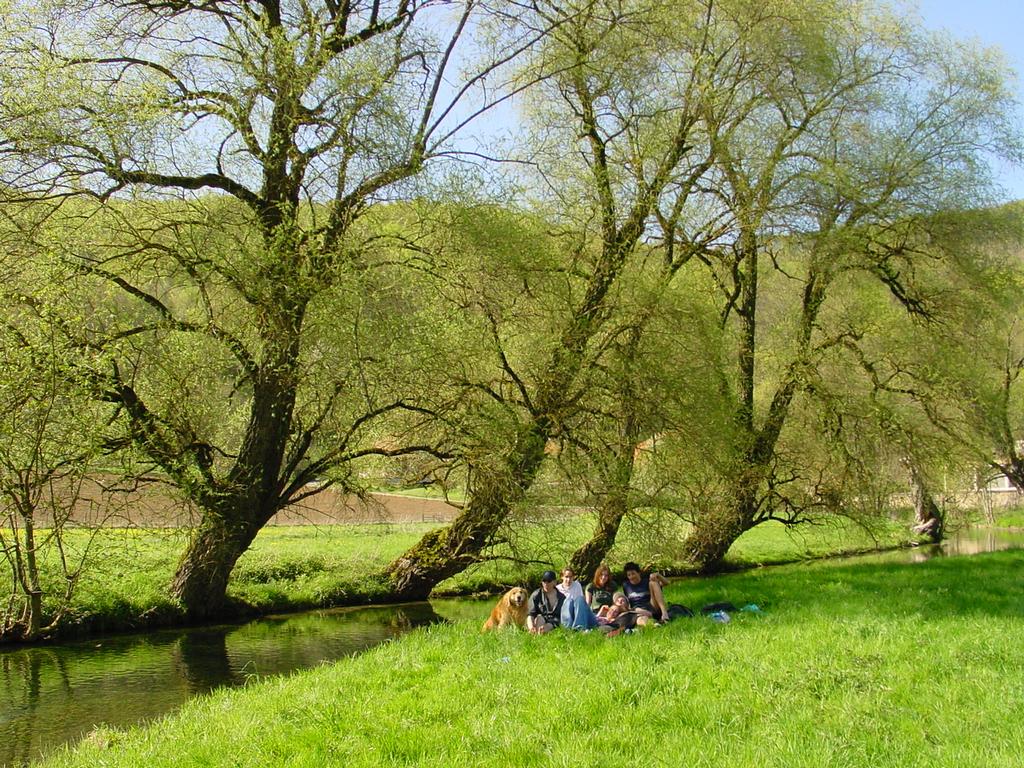 {Clic pour voir plus grand}