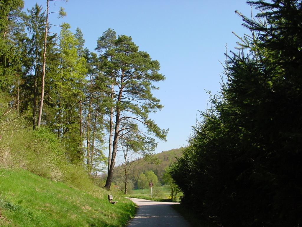 {Clic pour voir plus grand}