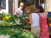 1205.jpg (93316 bytes)