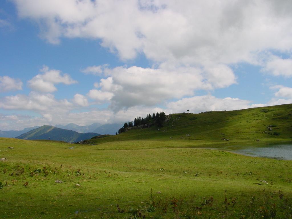 clic ici pour suivante