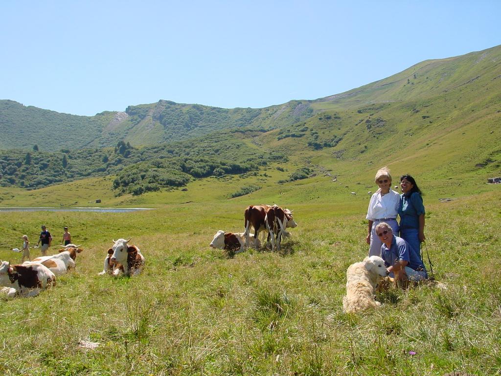 clic ici pour suivante