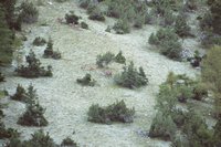 Cliquer pour agrandir l'image (800x533 :  40 KB pixels); 26.11.2002 00:26