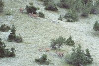 Cliquer pour agrandir l'image (700x525 :  39 KB pixels); 06.04.2004 19:19