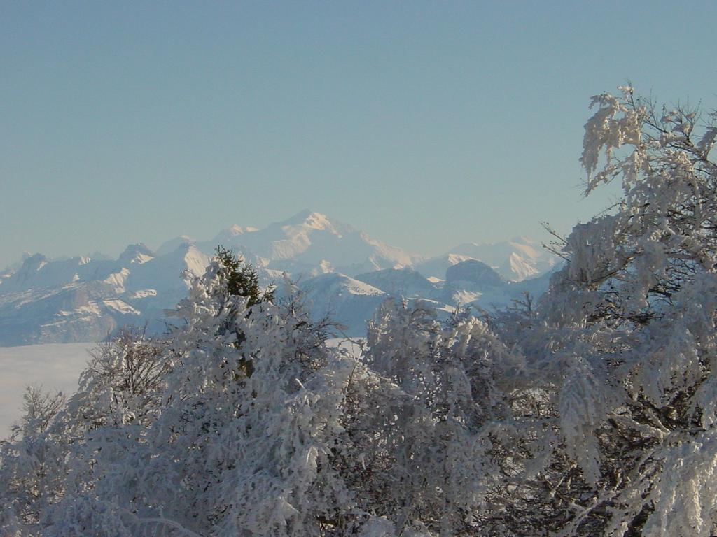 Clic pour voir l'image suivante