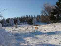 Clic pour agrandir l'�mage (1024x768 pixels; 138 KB)