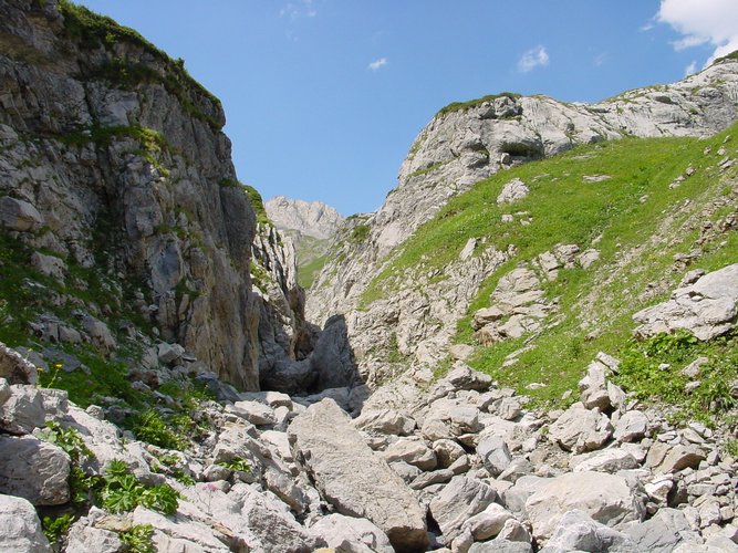 Click to see next picture