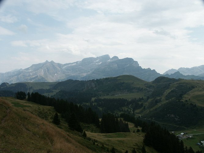 Click to see next picture