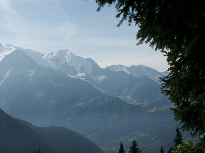 Click to see next picture