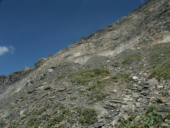 Click to see next picture