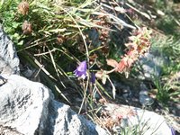 Click to see big picture (667x500 pixels; 125 KB)