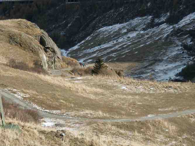 Click to see next picture