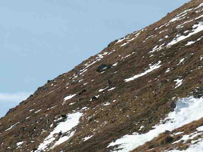 Click to see next picture