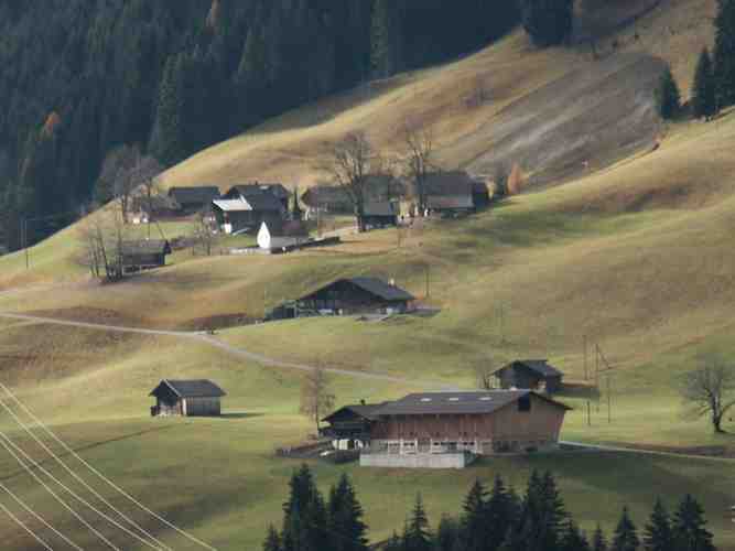 Click to see next picture