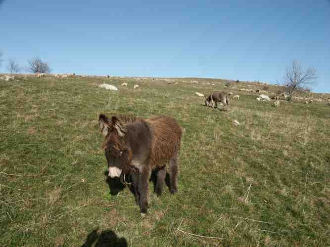 Click to see next picture