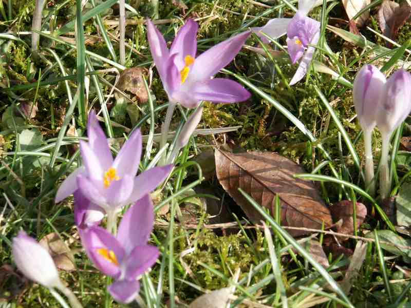 Clic ici pour voir l'image suivante