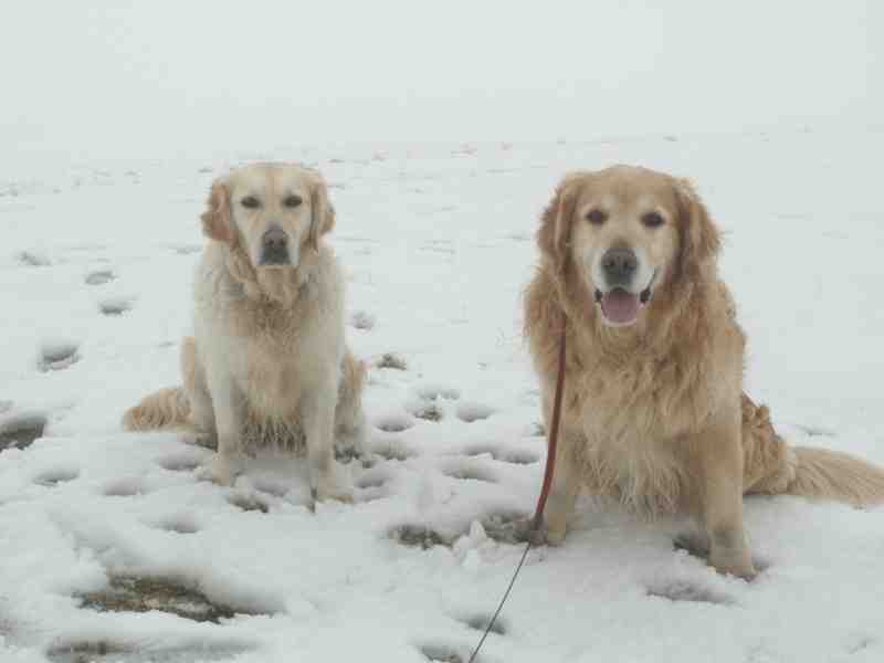 Clic ici pour voir l'image suivante