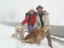 Cliquer pour agrandir l'image (800x600 :  34 KB pixels); 14.03.2004 14:40