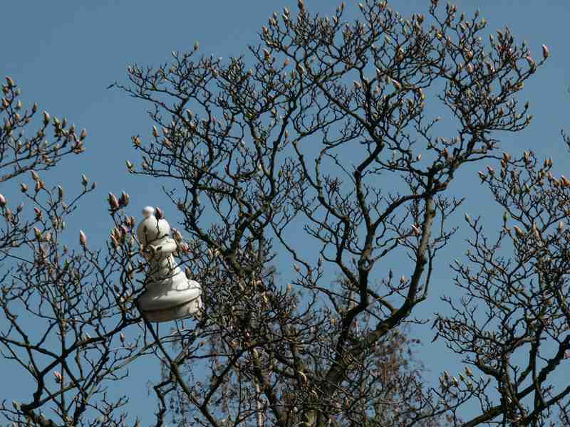 Clic ici pour voir l'image suivante