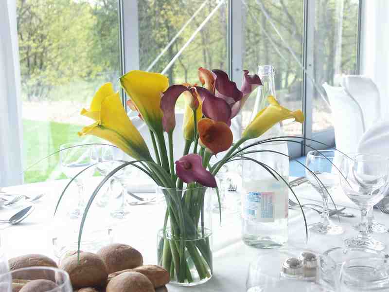 Clic ici pour voir l'image suivante