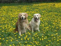 Click to see big picture (1024x768 pixels; 228 KB)