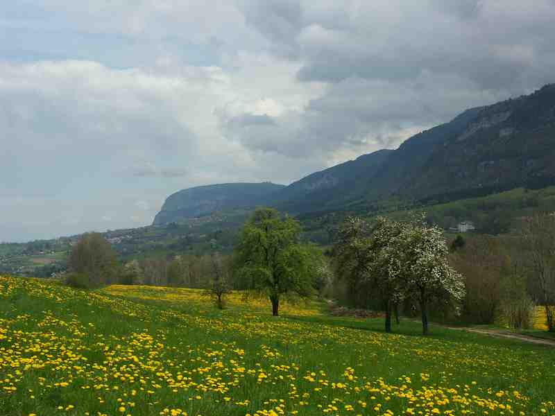 Clic ici pour voir l'image suivante