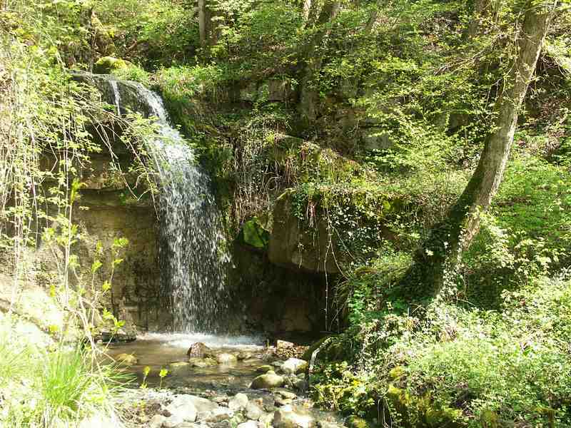 Clic ici pour voir l'image suivante