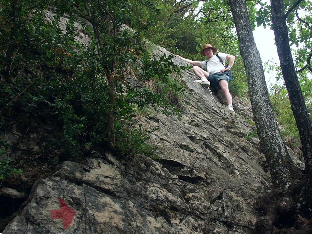 Cliquer pour voir l'image suivante