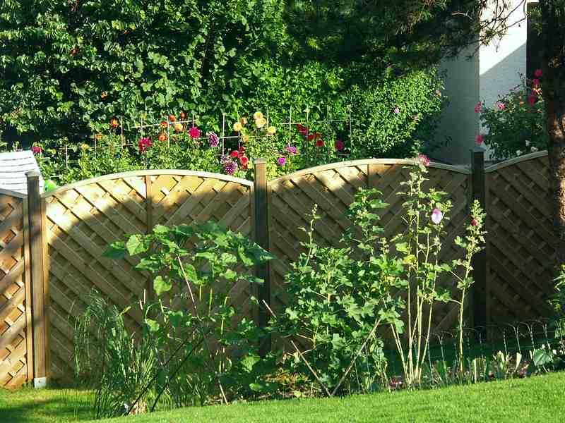 Clic ici pour voir l'image suivante