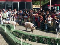 Cliquer pour agrandir l'image (1600x1200 pixels; 5625 KB)