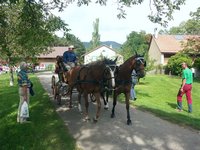 Cliquer pour agrandir l'image (1600x1200 pixels; 5625 KB)