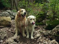 Cliquer pour agrandir l'image (1600x1200 pixels; 5625 KB)