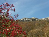 Cliquer pour agrandir l'image (2560x1920 pixels; 14400 KB)