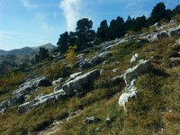 Cliquer pour agrandir l'image (2560x1920 pixels; 14400 KB)