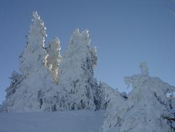 Cliquer pour agrandir l'image (1600x1200 pixels; 5625 KB)