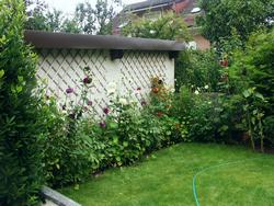 Cliquer pour agrandir l'image (1600x1200 pixels; 5625 KB)