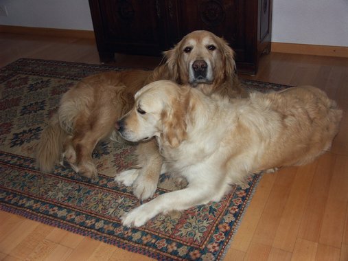 Clic ici pour voir l'image suivante