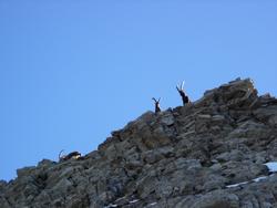 Cliquer pour agrandir l'image (800x600 pixels; 63 KB)