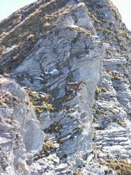 Cliquer pour agrandir l'image (450x600 pixels; 103 KB)