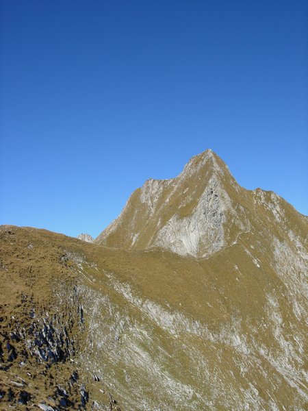 Clic ici pour voir l'image suivante